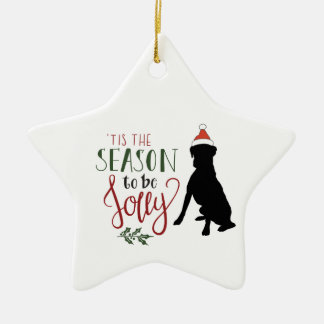 Ornement En Céramique L'ornement de Noël de chien en forme de boîte étoi