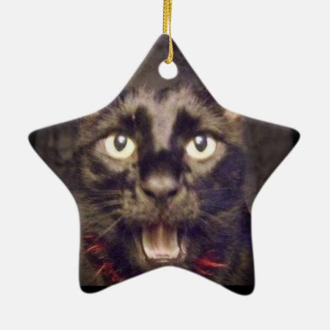 Ornement En Céramique L'ornement d'étoile le plus bel (Dos)