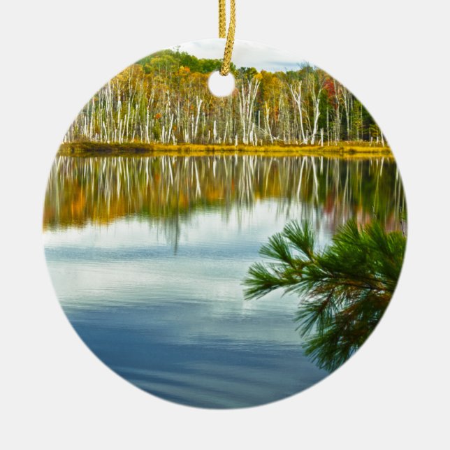 Ornement En Céramique L'U.P. : Réflexions d'arbre de bouleau d'automne (Devant)
