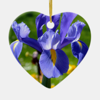 Ornement En Céramique Lumière du soleil sur iris bleu
