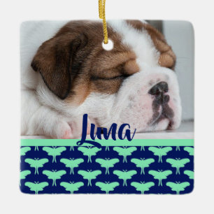 Ornement En Céramique Luna Moth