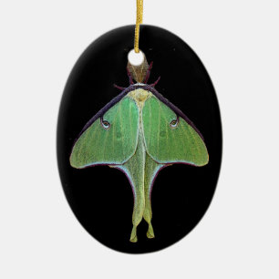 Ornement En Céramique Luna Moth