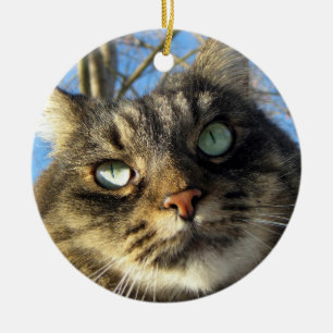 Ornement En Céramique Maine Coon Chat Kitty