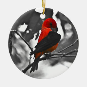 Ornement En Céramique Male Scarlet Tanager