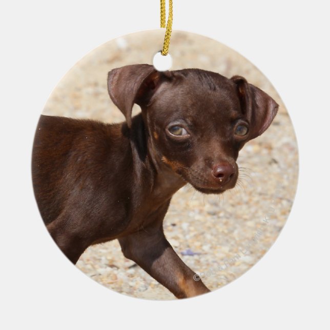 Ornement En Céramique Marche de chiot de chiwawa (Devant)