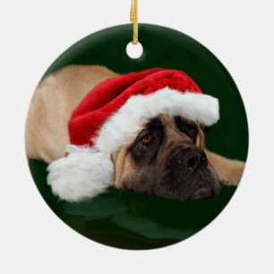 Ornement En Céramique Mastiff dans un chapeau de Père Noël