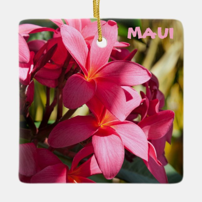 Ornement En Céramique Maui, Fleurs Plumeria en rose et blanc (Devant)