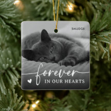 Mémorial élégant de photo de chat de compagnie