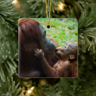 Ornement En Céramique Mère orang-outan avec bébé