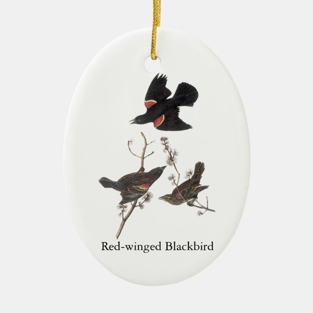 Ornement En Céramique Merle à ailes rouges, John Audubon (Devant)