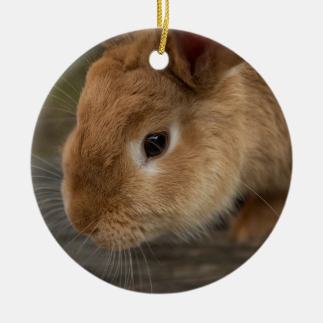Ornement En Céramique Mignonne lapin brun (Devant)
