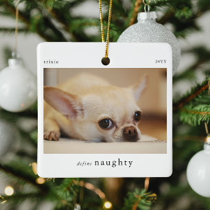 Ornement En Céramique Minimal Définir Naughty Pet Photo Keepsaké