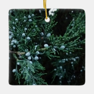 Ornement En Céramique Nature Ripening Juniper Berries