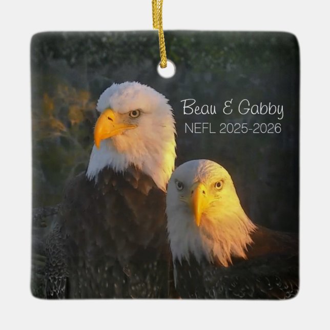 Ornement En Céramique NEFL Beau & Gabby Ornament 2025/2026 (Devant)