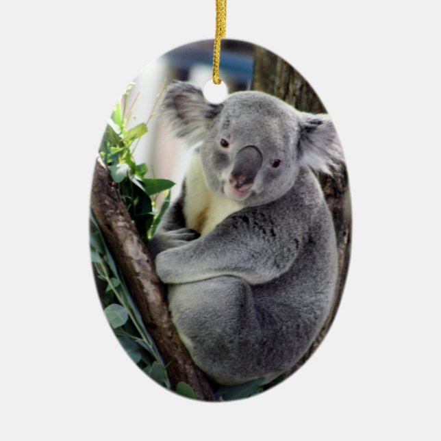 Ornement En Céramique Noël de koala (Devant)