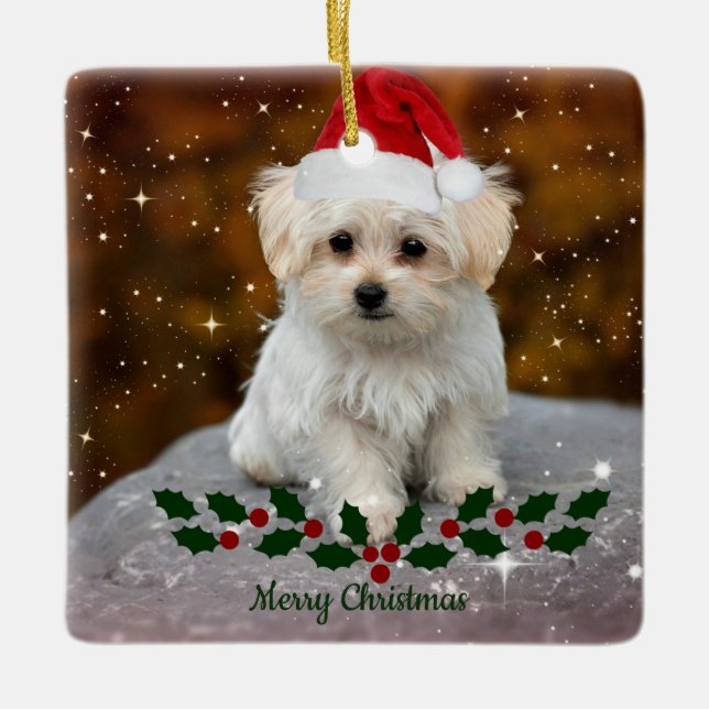 Ornement En Céramique Noël des chiots maltais (Devant)