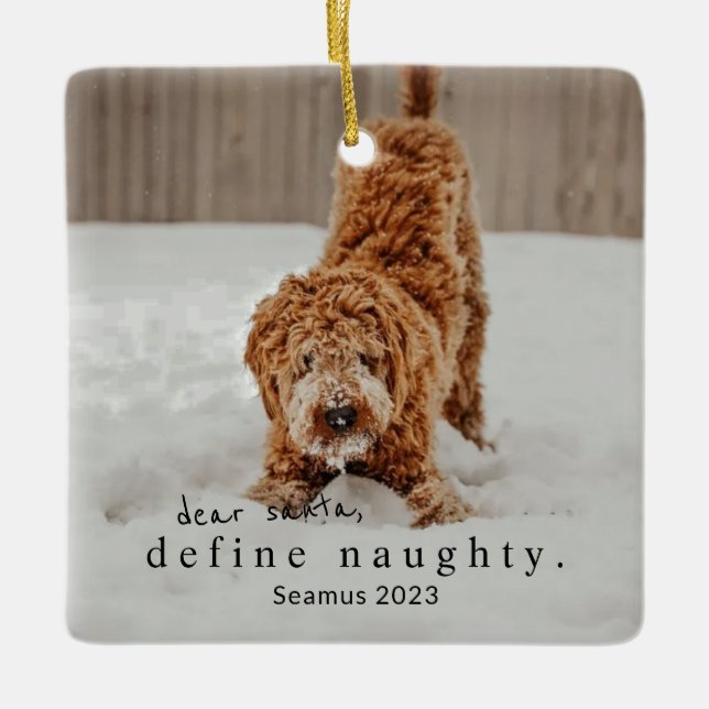Ornement En Céramique Noël Photo Animal Ornament - définir vilain (Devant)