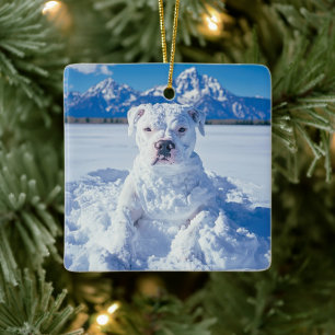 Ornement En Céramique Noël Pitbull Chien Snowman