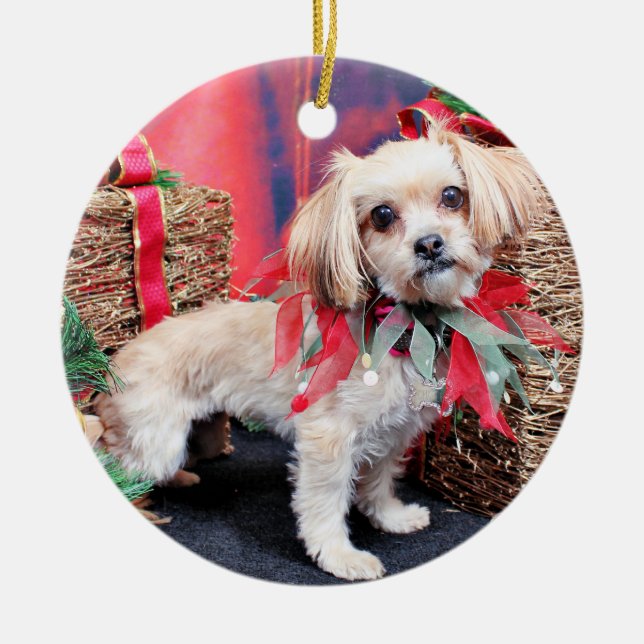 Ornement En Céramique Noël - Shorkie - Charlie (Devant)