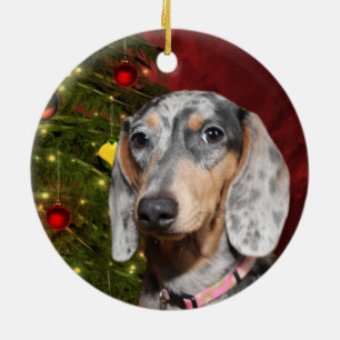 Ornement En Céramique Noël tacheté de teckel