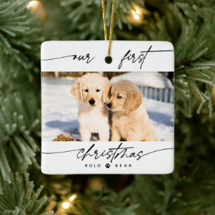 Ornement En Céramique Notre première photo de Noël d'amoureux des animau