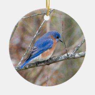 Ornement En Céramique Oiseau bleu d'oiseau bleu dans l'arbre