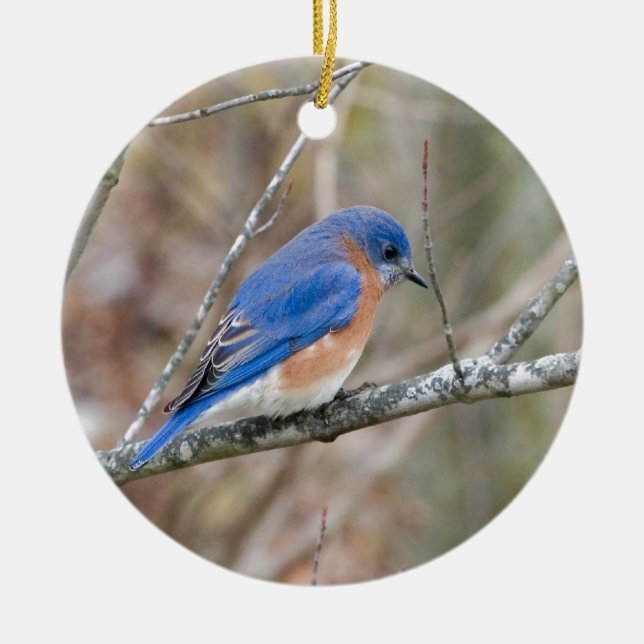 Ornement En Céramique Oiseau bleu d'oiseau bleu dans l'arbre (Devant)