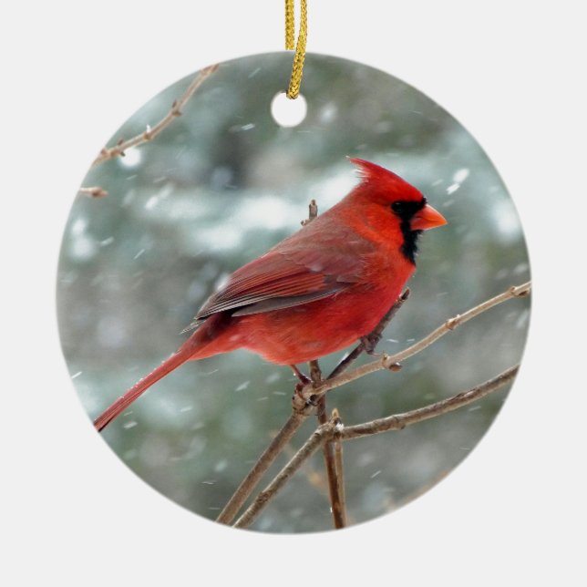 Ornement En Céramique Oiseau cardinal rouge en hiver de neige (Devant)