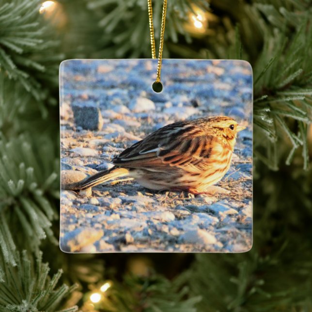 Ornement En Céramique Oiseau du Bruant (Arbre)