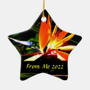 Ornement En Céramique Oiseau du Paradis Noël Ornament Star 2