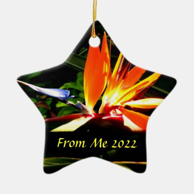 Ornement En Céramique Oiseau du Paradis Noël Ornament Star 2 (Devant)