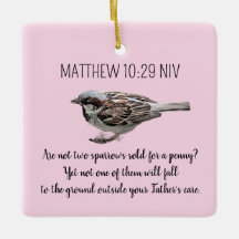 Oiseau Épervier Vos Cares Bible Verse Rose