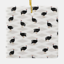 Oiseaux de Guinée
