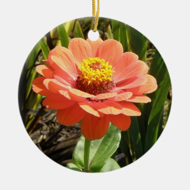 Ornement En Céramique Orange Zinnia Fleur Personnalisée Anniversaire (Devant)