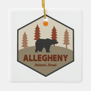 Ornement En Céramique Ours forestier national d'Allegheny