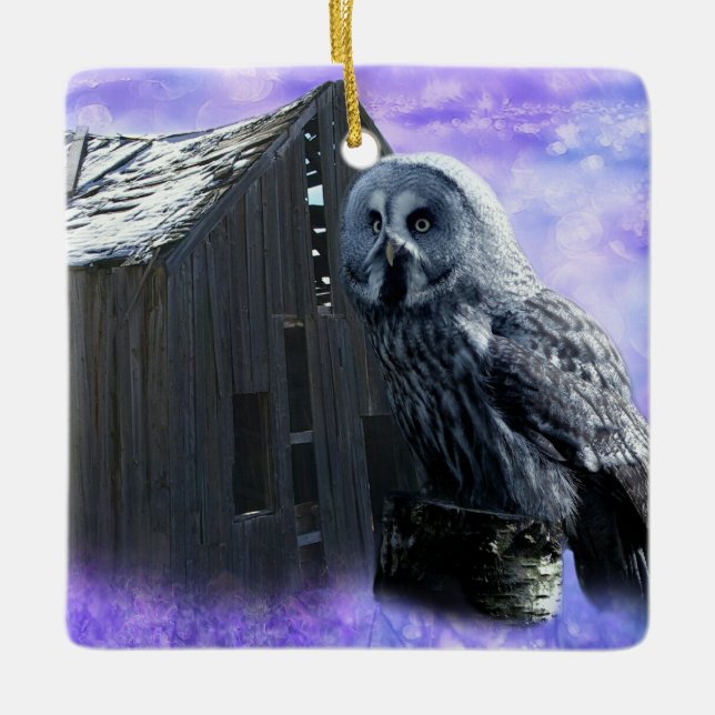 Ornement En Céramique Owl Barn Shed (Devant)