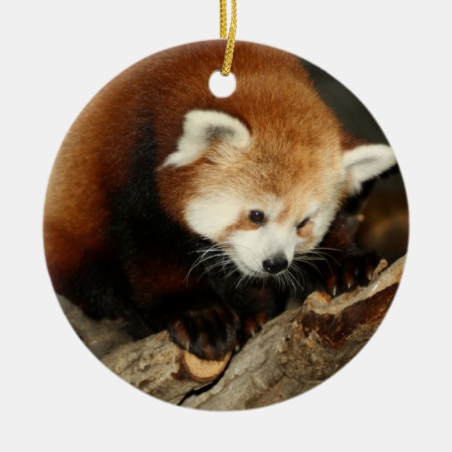 Ornement En Céramique Panda rouge (Devant)