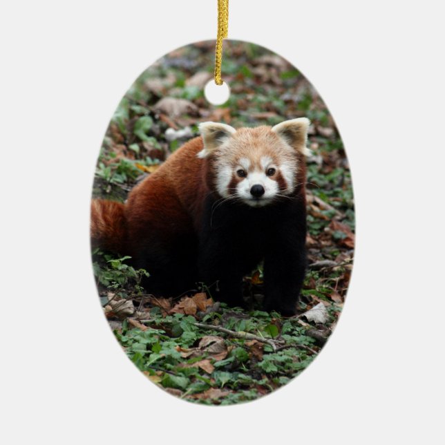 Ornement En Céramique Panda rouge (Devant)