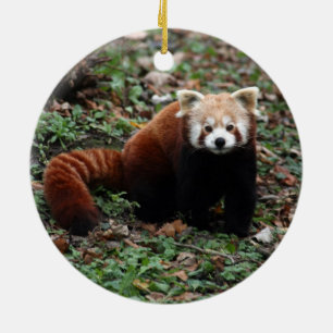 Ornement En Céramique Panda rouge