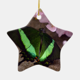 Ornement En Céramique Papillon