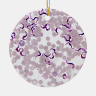 Ornement En Céramique Parasite Trypanosoma de sang