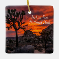 Parc national de Joshua Tree Coucher de soleil rou