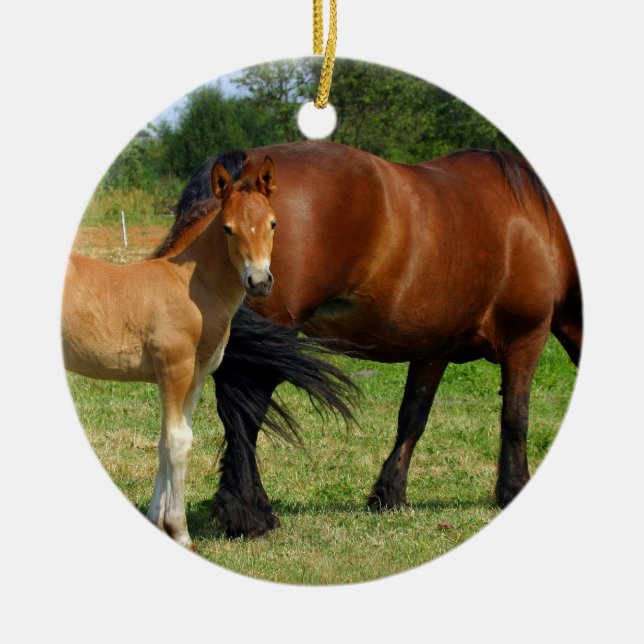 Ornement En Céramique Pâturage de l'ornement de famille de cheval (Devant)