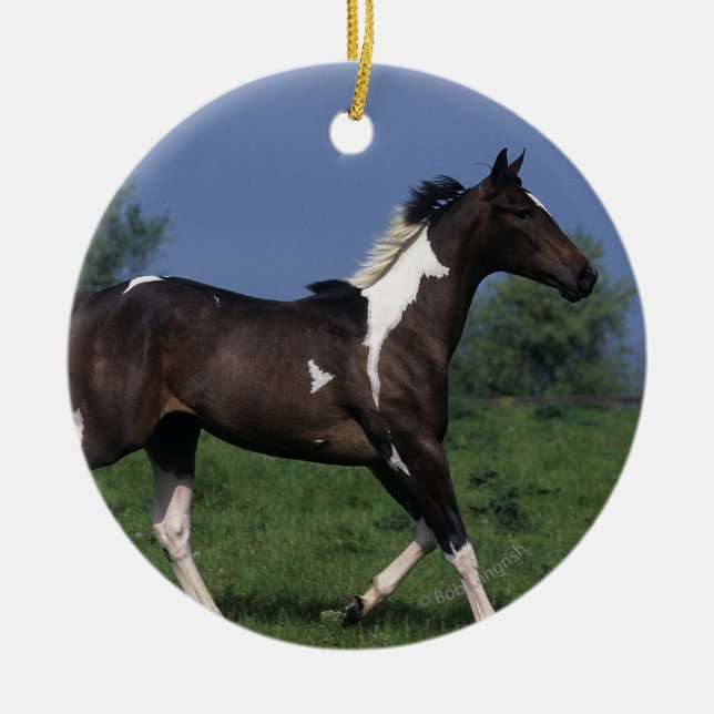 Ornement En Céramique Peignez le cheval courant 2 (Devant)