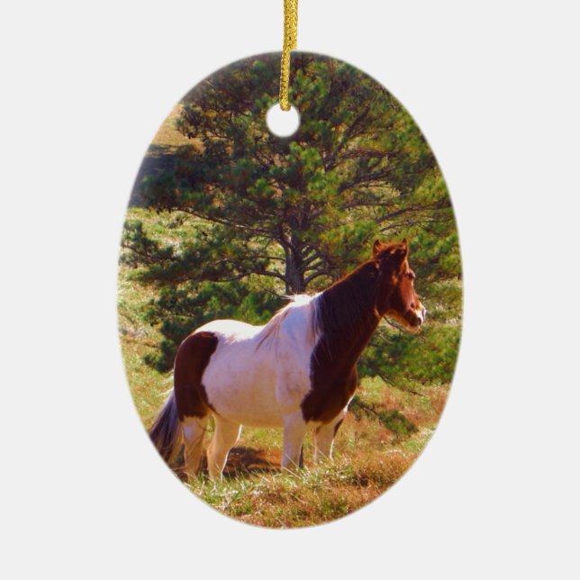 Ornement En Céramique Peint Poney par le pin (Devant)