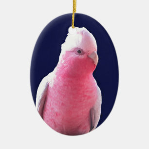 Ornement En Céramique Perroquet australien rose et gris effronté