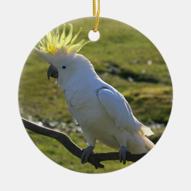 Ornement En Céramique Perroquet de Cockatoo jaune et blanc (Devant)