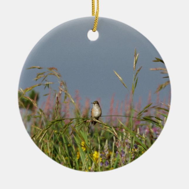 Ornement En Céramique Petit colibri gras (Devant)