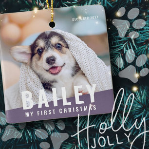 Ornement En Céramique Pet's First Christmas Custom Modern Photo Year