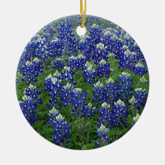 Ornement En Céramique Photo de champ de Bluebonnets de Texas (Devant)